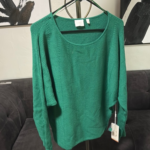 Cyrus Sweaters - NWT Green Sweater